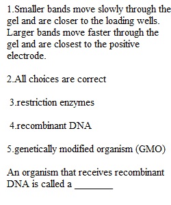 Lecture Exam 3